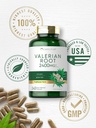 carlyle-valerian-root-capsules-2400mg-24-5.jpg