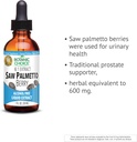 botanic-choice-saw-palmetto-berry-alcoho-3.jpg