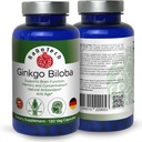 ginkgo-biloba-memory-focus-brain-functio-4.jpg
