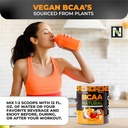 nutrology-bcaa-natural---plant-based-bca-5.jpg