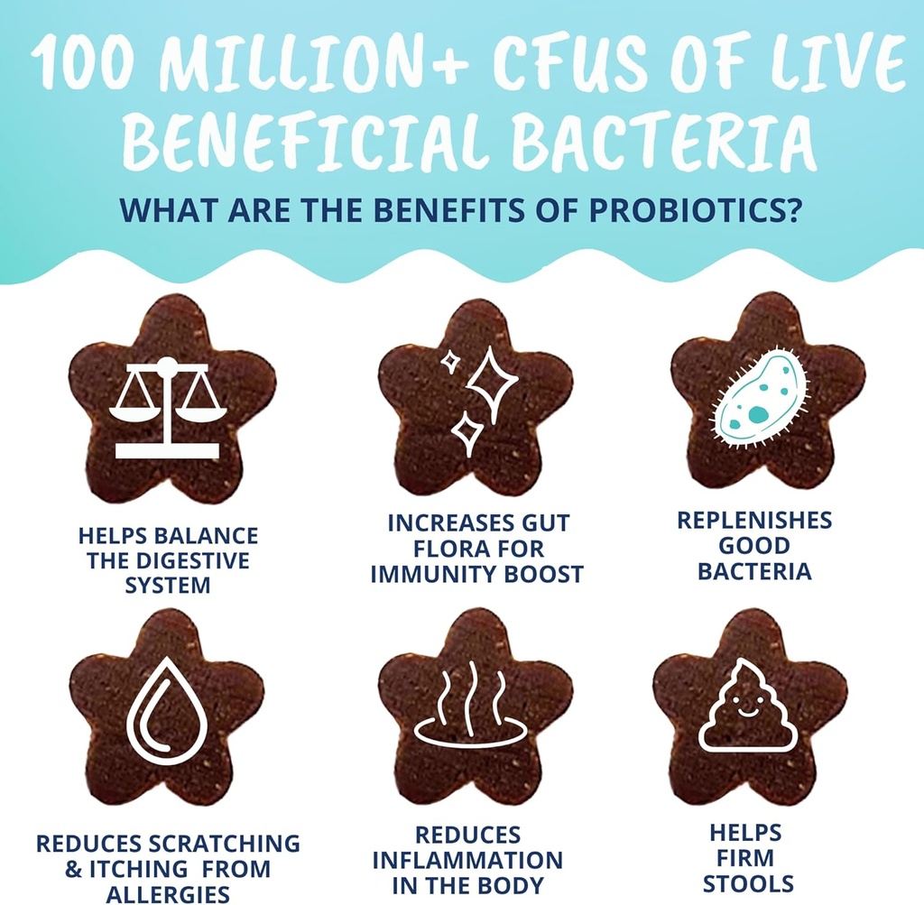under-the-weather-pet-probiotic-chews-fo-4.jpg