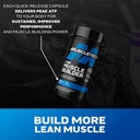 muscletech-nitric-oxide-supplements-for--2.jpg