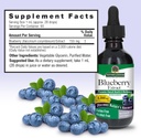 natures-answers-alcohol-free-blueberry-f-3.jpg