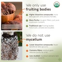 longevity-botanicals-organic-reishi-mush-3.jpg