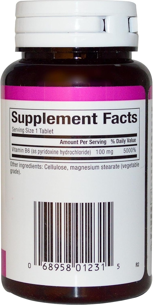 b-6-pyridoxine-hcl-100mg-natural-factors-2.jpg