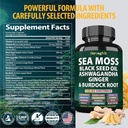 sea-moss-black-seed-oil-ashwagandha-ging-2.jpg