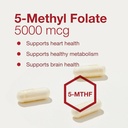 protocol-for-life-balance-5-methylfolate-4.jpg