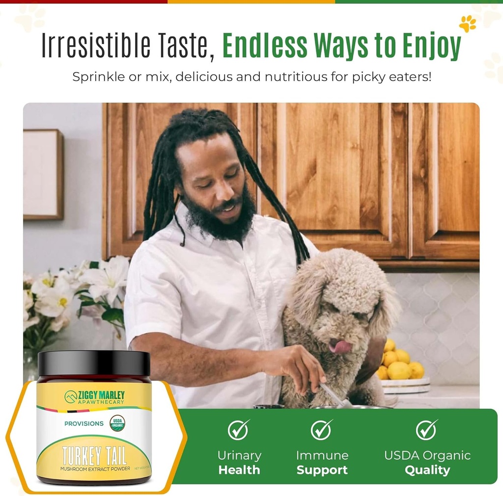 ziggy-marleys-usda-organic-turkey-tail-m-3.jpg