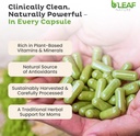 bleaf-nature-organic-moringa-capsules-10-5.jpg