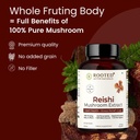 rooted-reishi-mushroom-extract-capsules--2.jpg