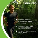 natures-plus-bromelain---500-mg-90-veget-4.jpg