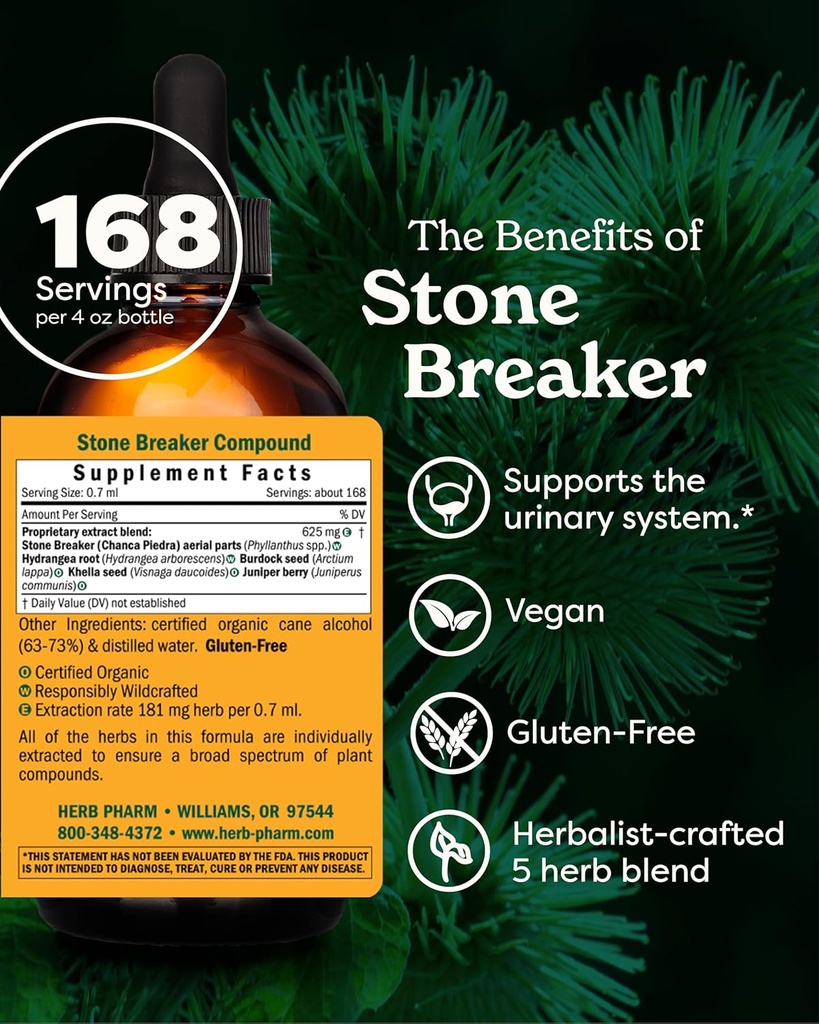 herb-pharm-stone-breaker-chanca-piedra-c-2.jpg
