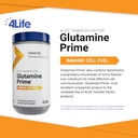 4life-glutamine-prime---fuel-immune-cell-3.jpg