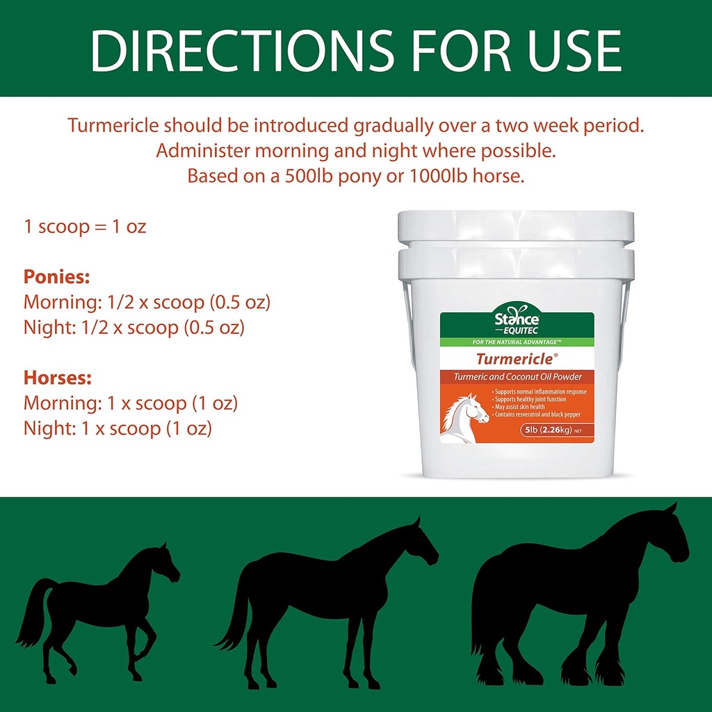 natural-turmeric-powder-for-horses-with--2.jpg