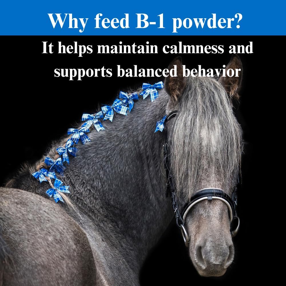 su-per-b-1-horse-calming-supplement---eq-5.jpg