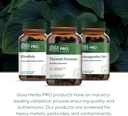 gaia-herbs-pro-thyroid-formula---support-6.jpg