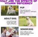 dog-multivitamin-liquid---15-in-1-dog-vi-6.jpg