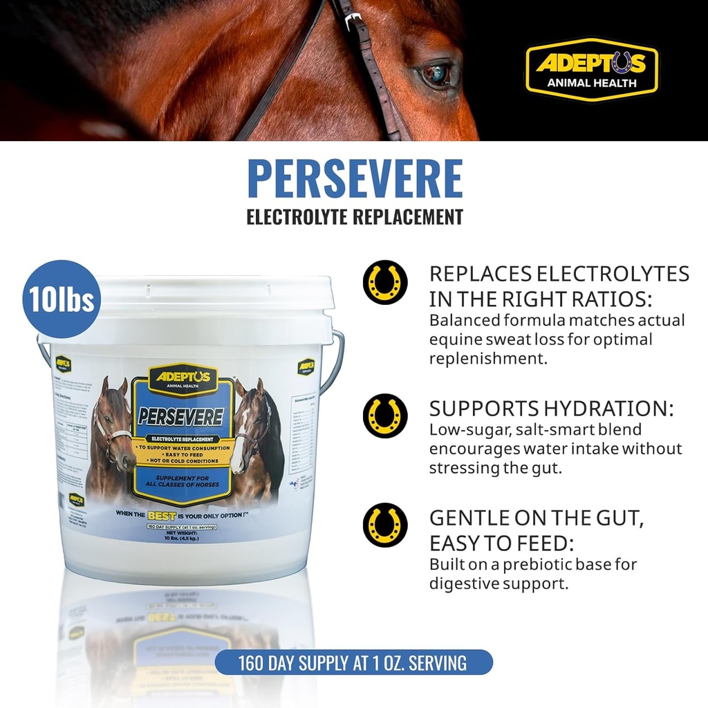 adeptus-nutrition-persevere-electrolyte--2.jpg