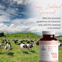 mother-nutrient-bundle-grass-fed-beef-li-4.jpg
