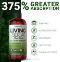 living-silica-plant-based-collagen-boost-6.jpg