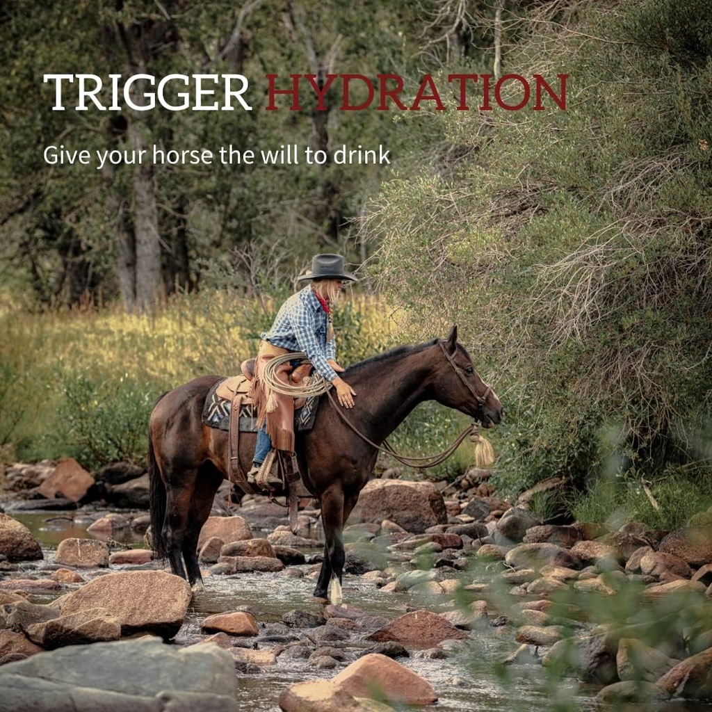 redmond-equine-electrolyte-paste-electro-2.jpg