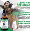 pet-kidney-support-for-dogs-veterinarian-4.jpg