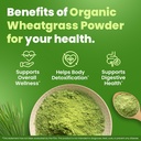 siddhayu-organic-wheatgrass-powder---12--3.jpg