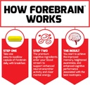 forebrain-nootropic-brain-supplement-to--4.jpg