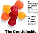 vita-globe-adult-multivitamin-gummies-wi-4.jpg
