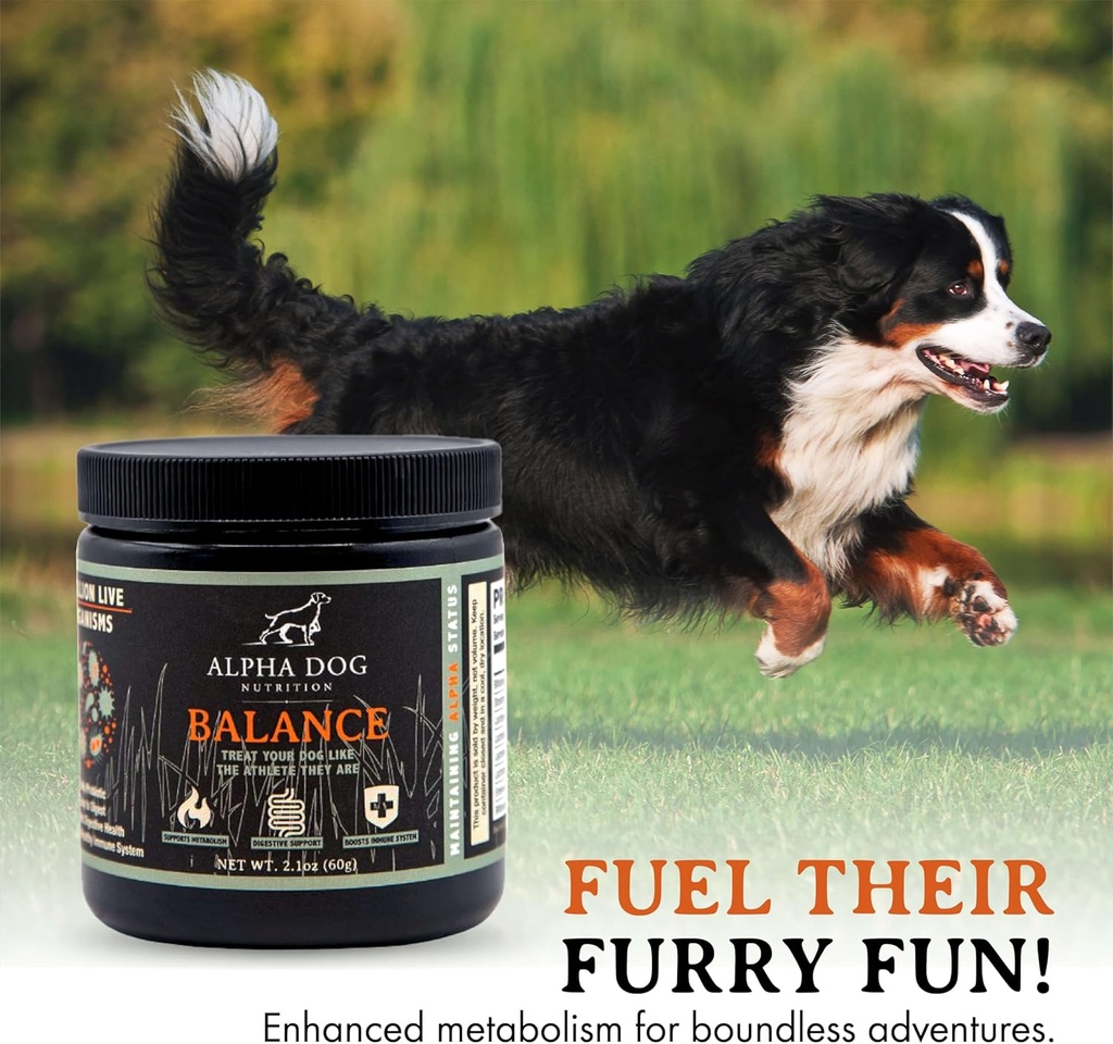 balance-probiotic-blend-for-dogs-by-alph-6.jpg