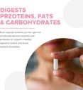 lumen-naturals-digestive-enzymes-probiot-3.jpg