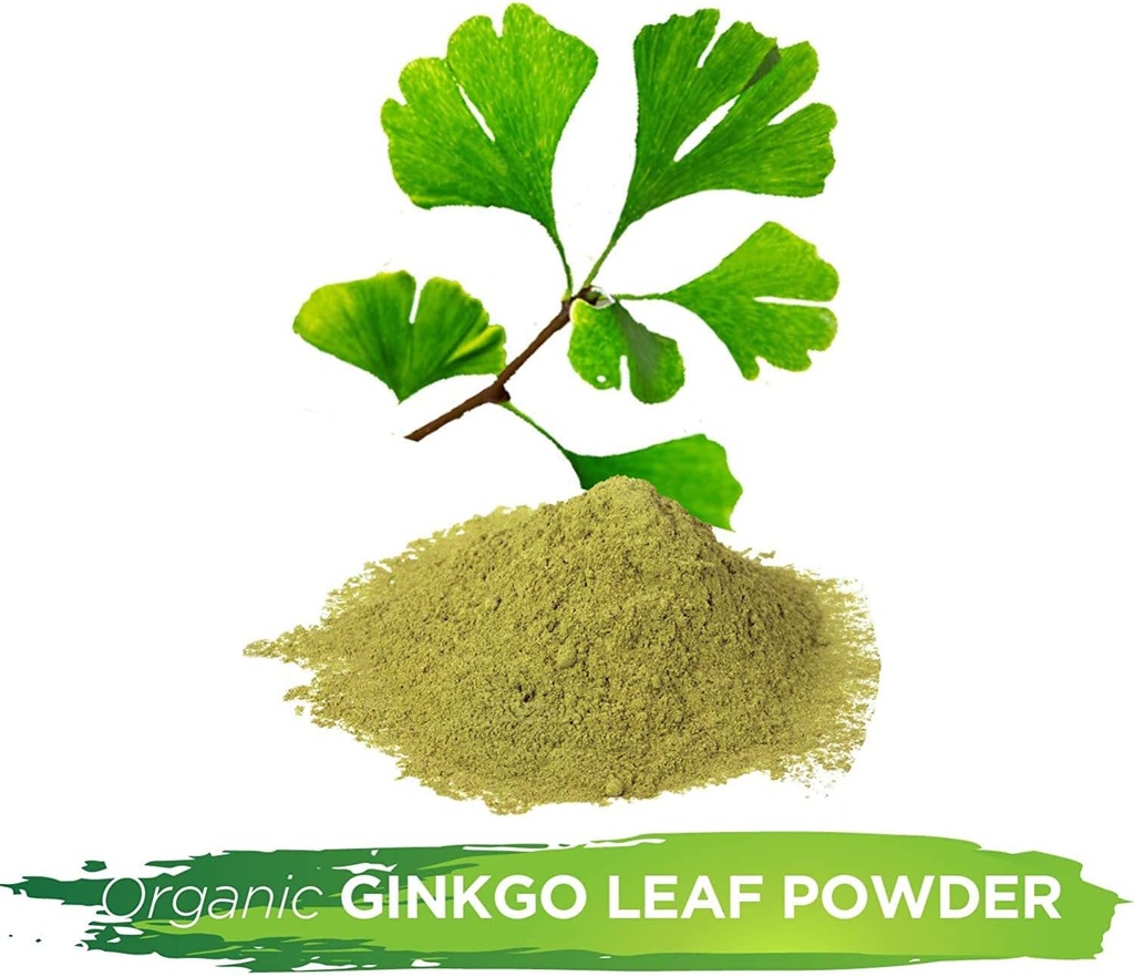 wildcrafted-ginkgo-biloba-leaf-powder-16-3.jpg