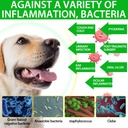 2-pack-antibiotics-for-dogs-natural-anti-4.jpg