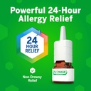 flonase-allergy-relief-nasal-spray-24-ho-2.jpg