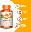 sundown-cinnamon-capsules-support-sugar--4.jpg