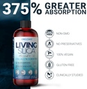 orgono-living-silica-collagen-booster-ve-6.jpg