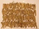 american-ginseng-from-wisconsin-ginseng--4.jpg