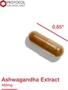 protocol-ashwagandha-450mg---immune-supp-6.jpg