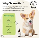 forever-puppy-cordyceps-mushroom-extract-6.jpg