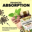 built-by-nature-ashwagandha-2100mg-extra-3.jpg