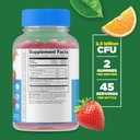 lifeable-sugar-free-probiotic-prebiotic--2.jpg