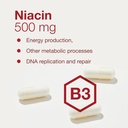 protocol-niacin-500mg---inositol-hexanic-4.jpg