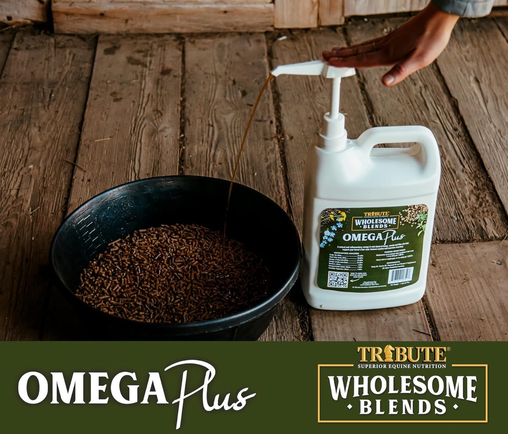 wholesome-blends-omega-plus-oil-suppleme-2.jpg