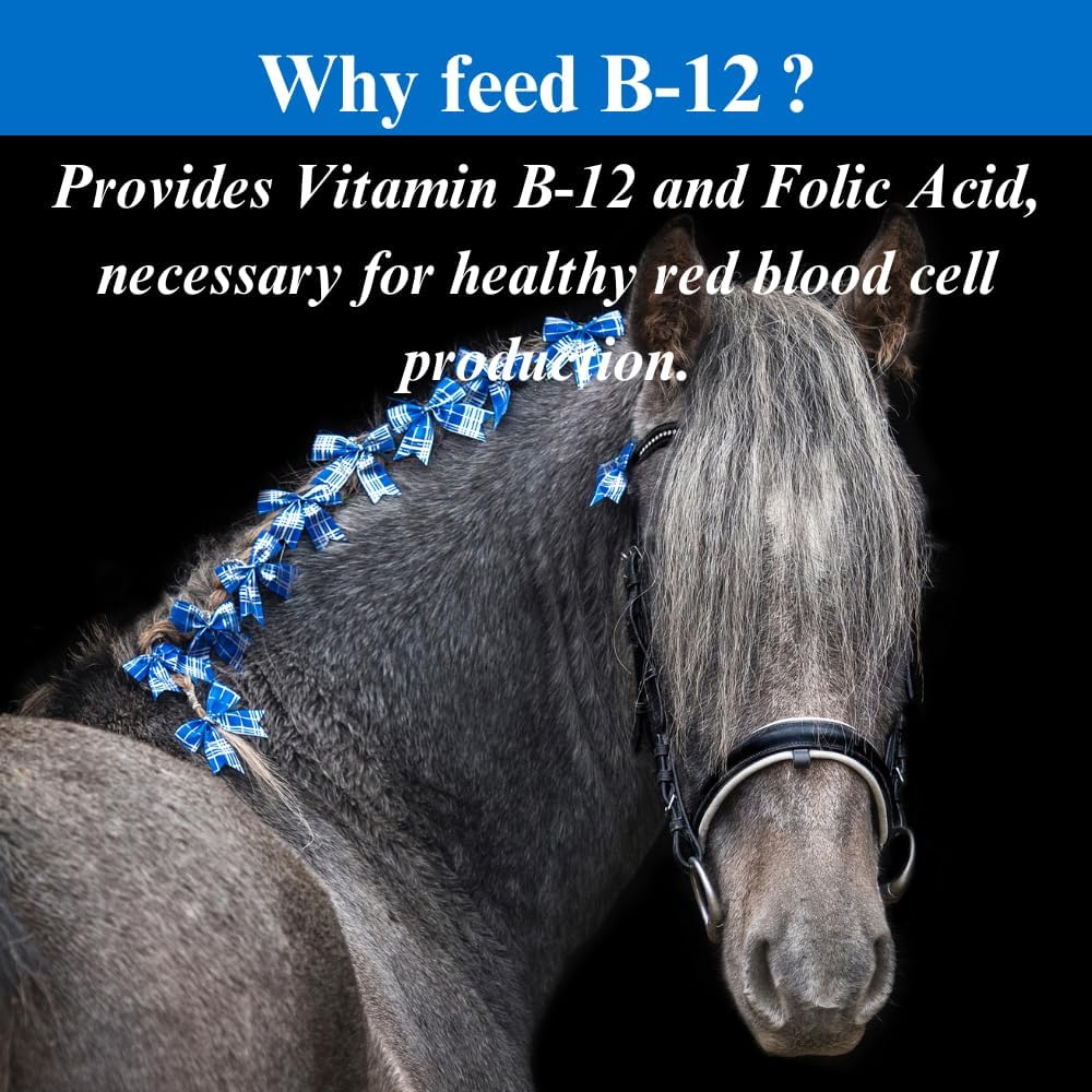 su-per-b12-for-horses---equine-vitamins--5.jpg