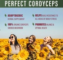 perfect-supplements-perfect-cordyceps-90-4.jpg