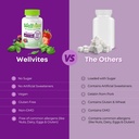 wellvites-sugar-free-multivitamin-gummie-5.jpg