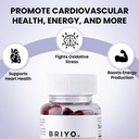 briyo-coq10-100mg-supplement-with-omega--3.jpg