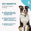 dog-eye-infection-eye-care-support-suppl-3.jpg