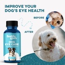 dog-eye-infection-eye-care-support-suppl-4.jpg
