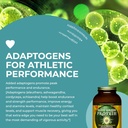 healthforce-superfoods-elite-green-prote-5.jpg